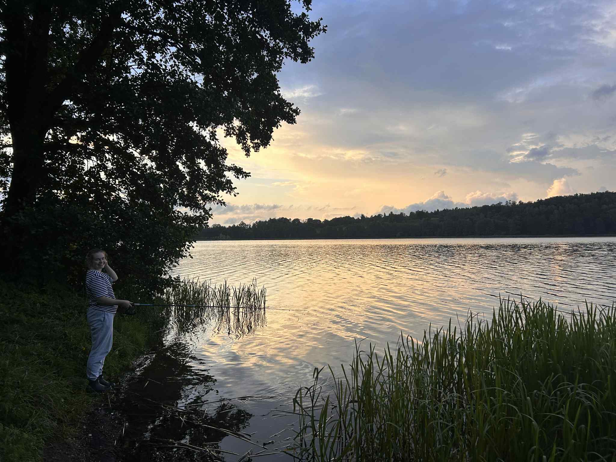 Sosnowy Dom - Zdjęcie 3