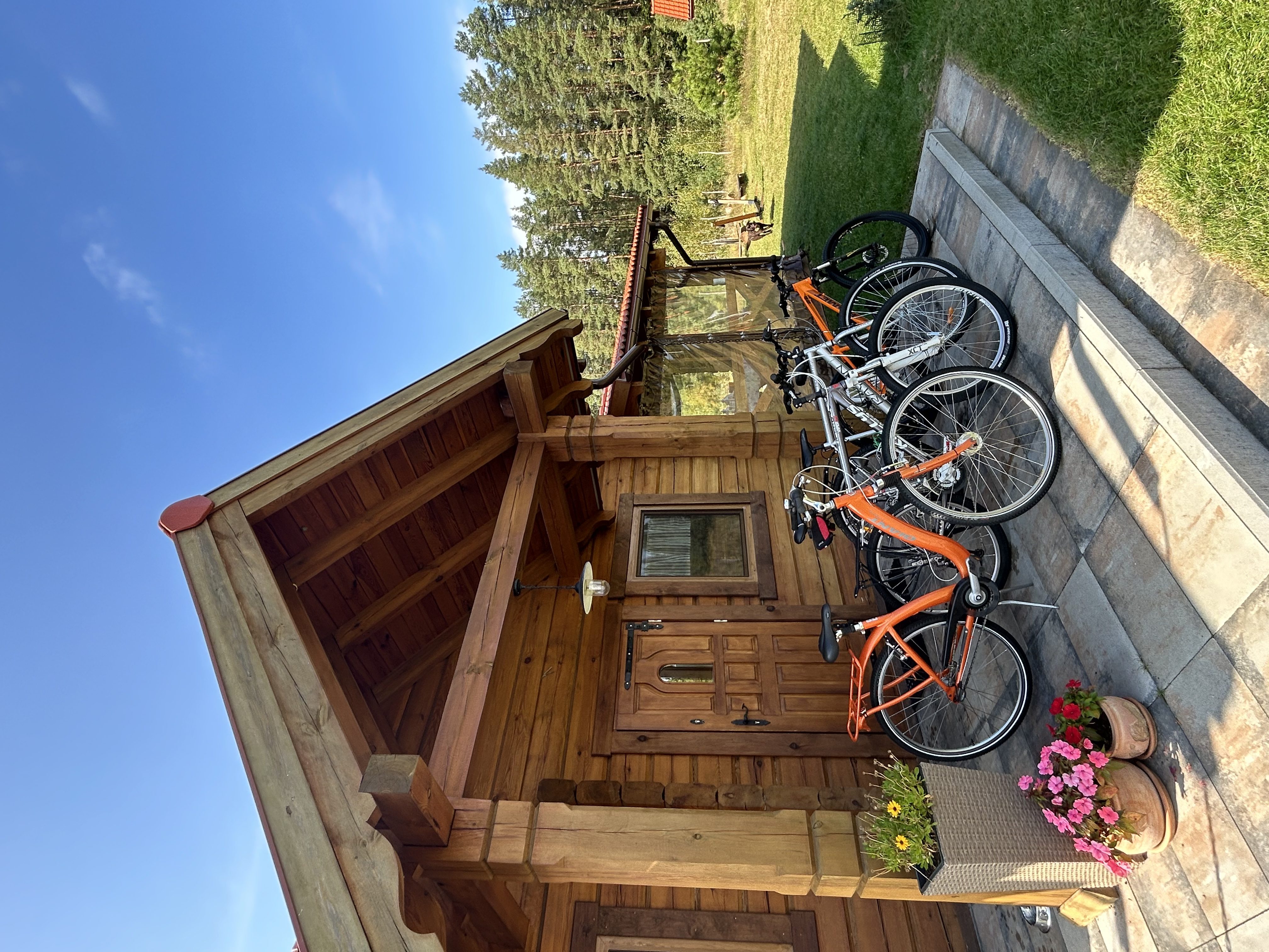 Sosnowy Dom - Zdjęcie 1