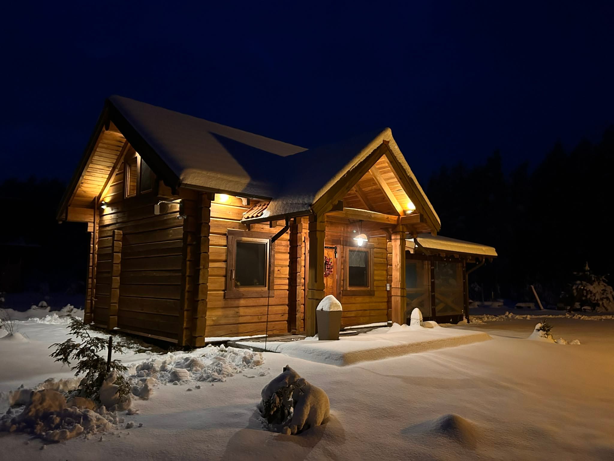 Sosnowy Dom - Zdjęcie 7